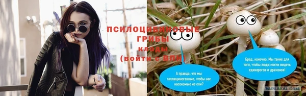 кокс Арсеньев
