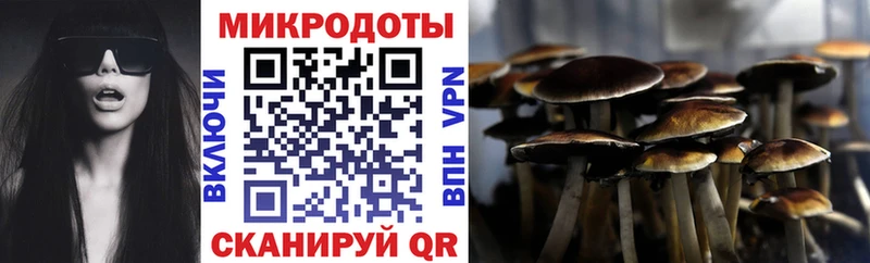 Галлюциногенные грибы ЛСД  OMG маркетплейс  Кирово-Чепецк 